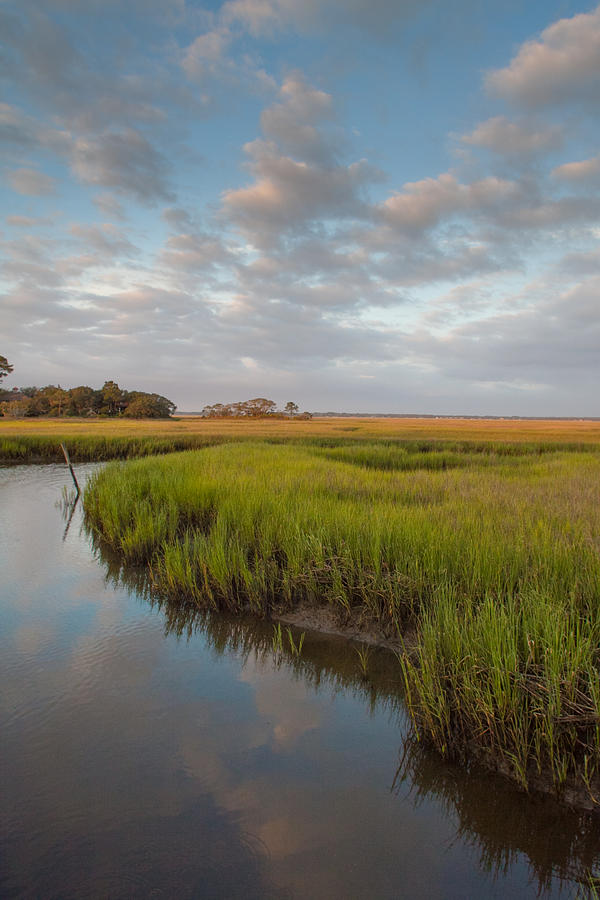 Morning on a salt marsh Photograph by W Chris Fooshee