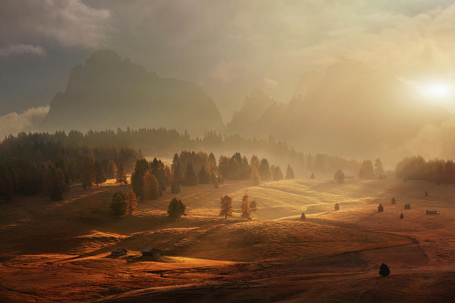Mountain Photograph - Morning On Alpine Meadow by Daniel ?e?icha