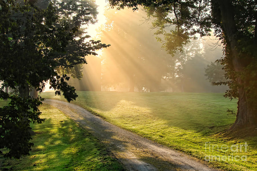 Farm Photograph - Morning on Country Road by Olivier Le Queinec