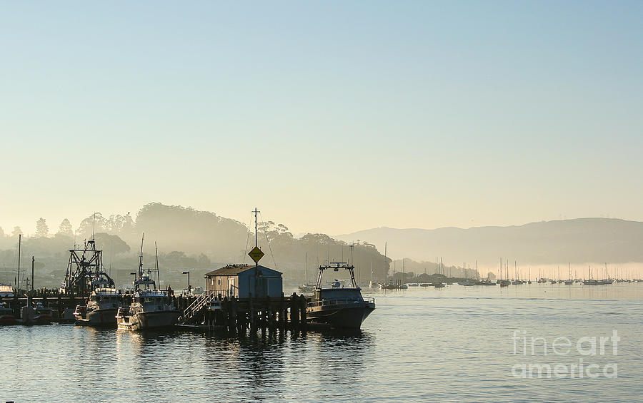 Morro Bay Photograph - Morning on Morro Bay 3 011 2 by Stephen Parker