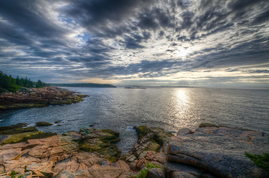 Morning on the Acadia Coast Photograph by At Lands End Photography