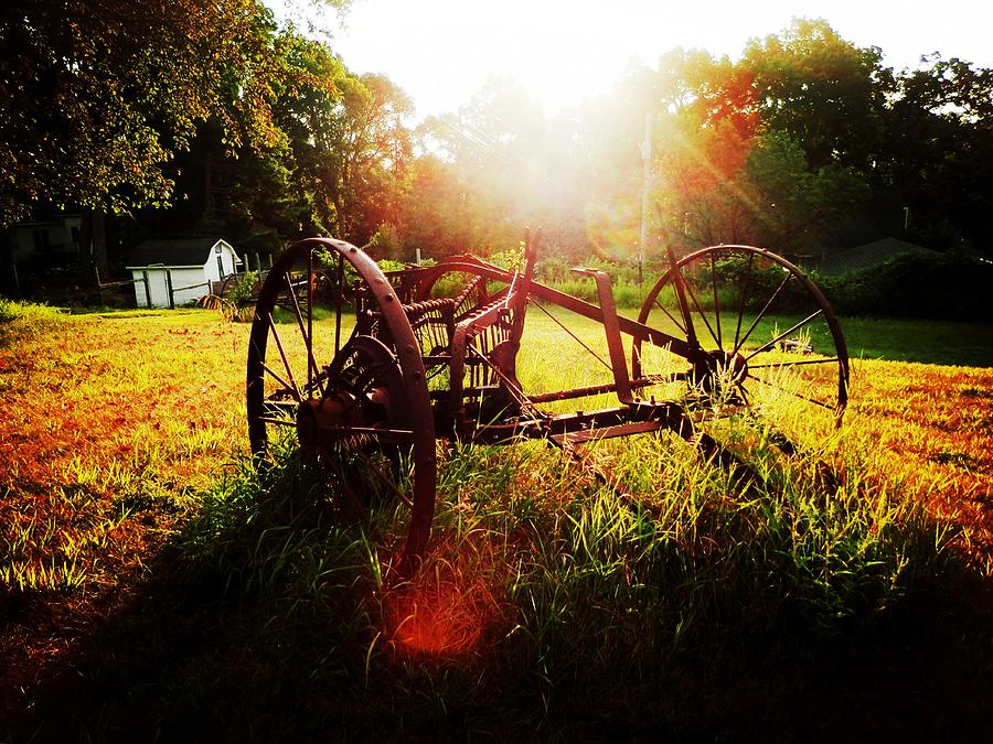 Morning On The Farm Photograph by Zinvolle Art