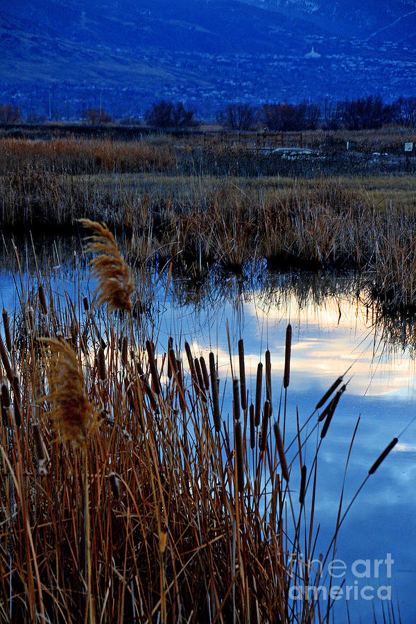 Morning on the Lake 3 Photograph by John Langdon