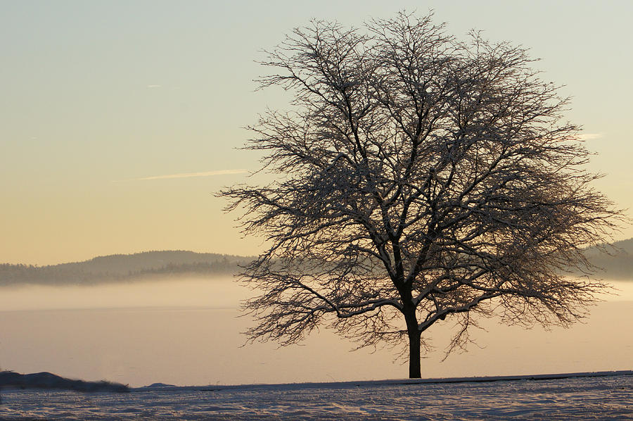 Winter Photograph - Morning on the Massabesic by Mary Vinagro