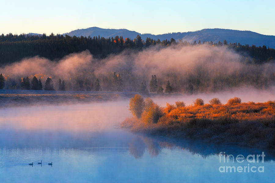 Geese Photograph - Morning on the Oxbow by Don Hall