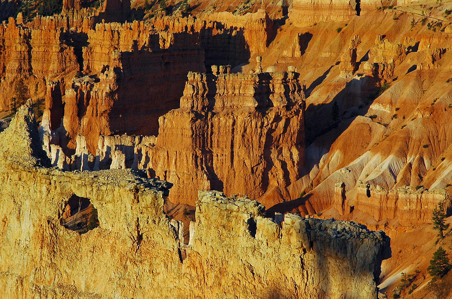 Morning Oranges and Shadows in Bryce Canyon Photograph by Bruce Gourley