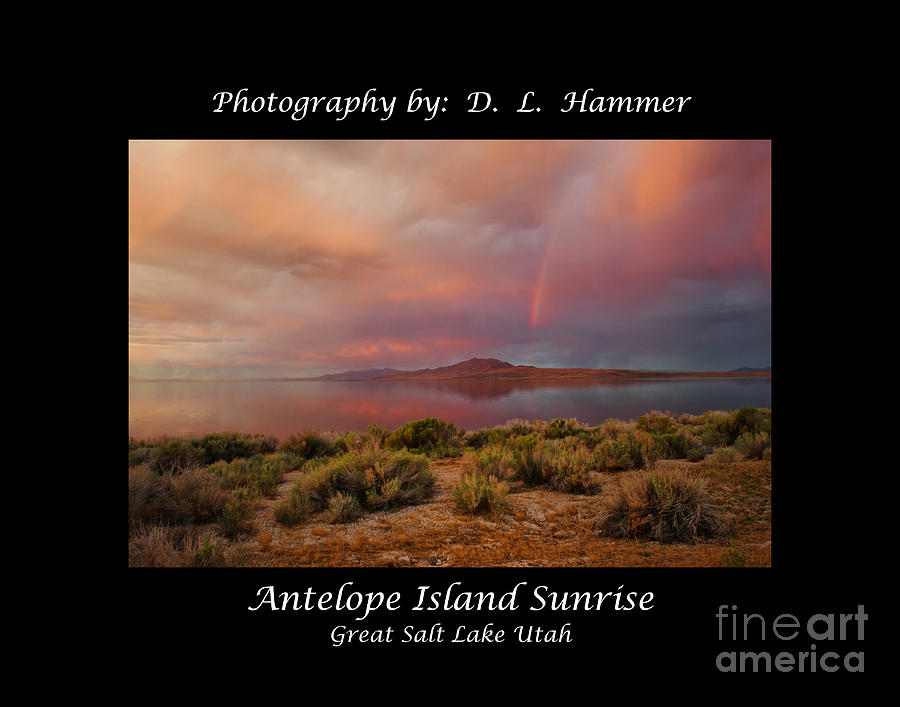 Morning Rainbow Photograph by Dennis Hammer