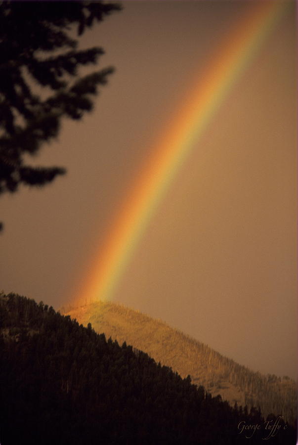 Morning rainbow Photograph by George Tuffy