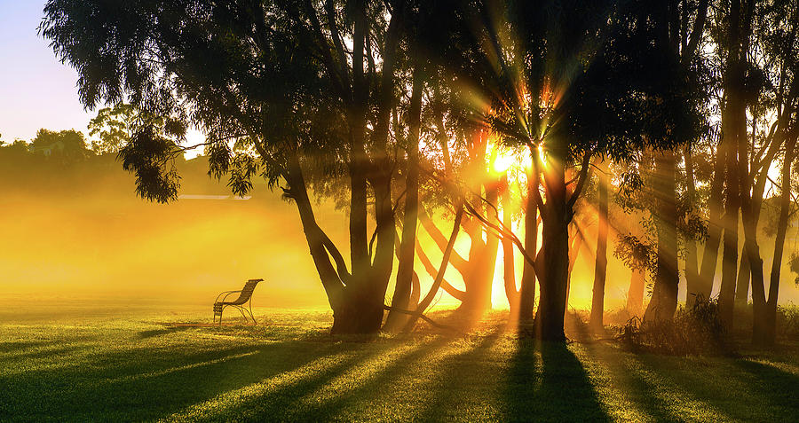 Morning Rays At Fairbains Park Photograph by Natural At Its Best.