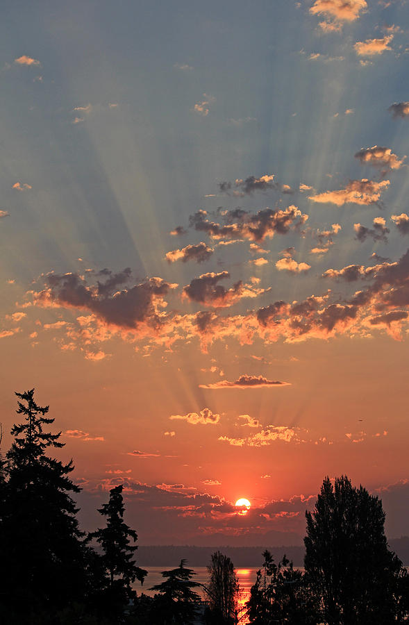 Morning Rays Photograph by E Faithe Lester