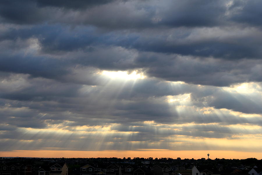 Morning Rays Photograph by Trent Mallett