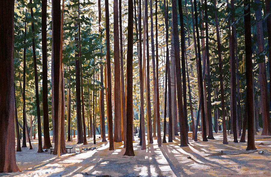 Morning Redwoods Painting by Lynn Hansen
