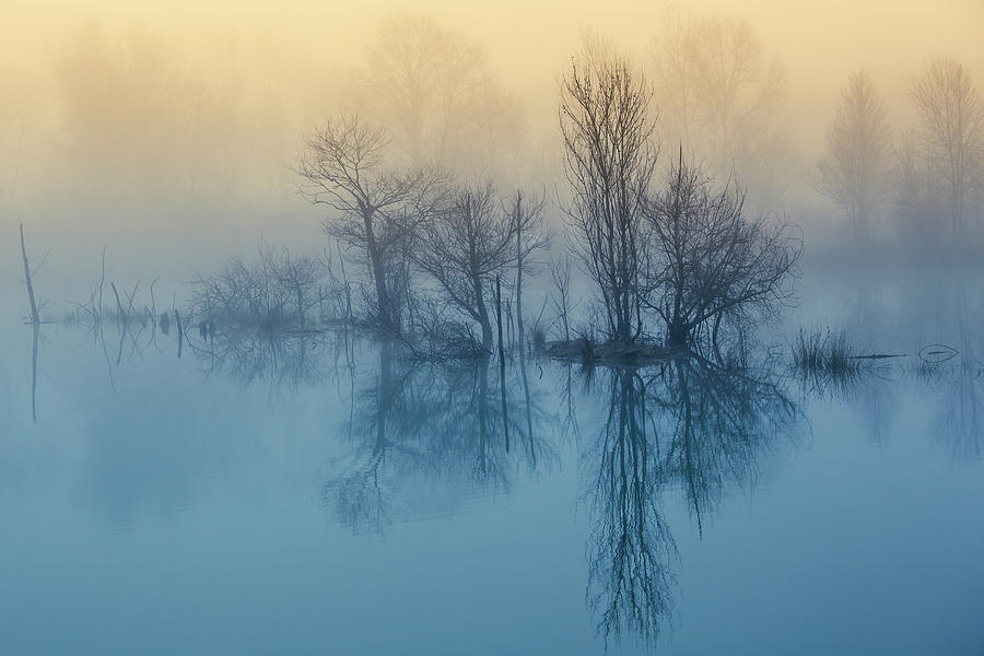 Morning Reflection Photograph by David Butali