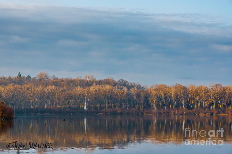 Tree Photograph - Morning Reflection by Joan Wallner