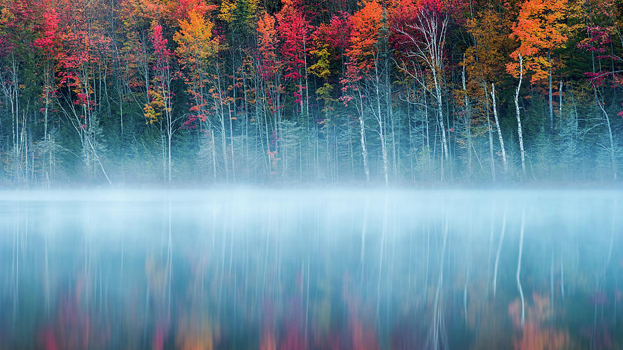 Fall Photograph - Morning Reflection by John Fan