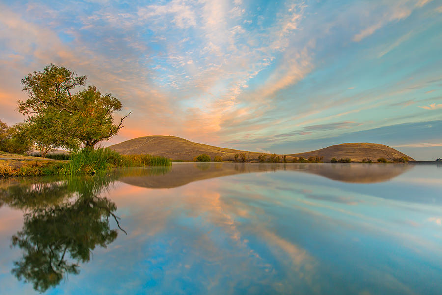Morning  Reflection Photograph by Marc Crumpler