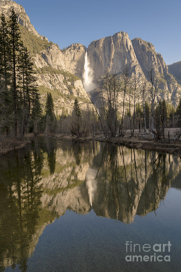 Morning Reflections in Yosemite Photograph by Sandra Bronstein