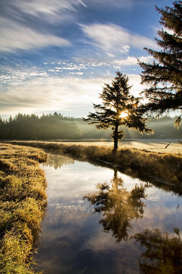 morning reflection morning reflection