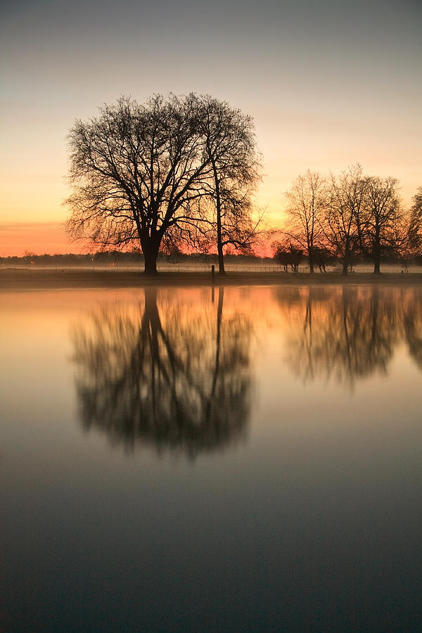 Morning River Photograph by Milan Gonda