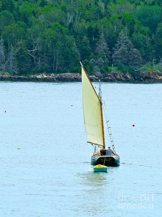 Morning Sail  Photograph by Nancy Patterson