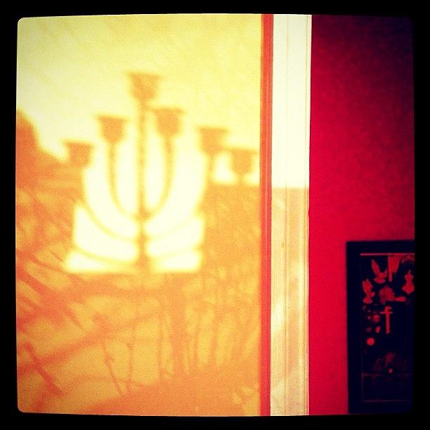 Morning Shadows On The Wall Photograph by Kim Cafri