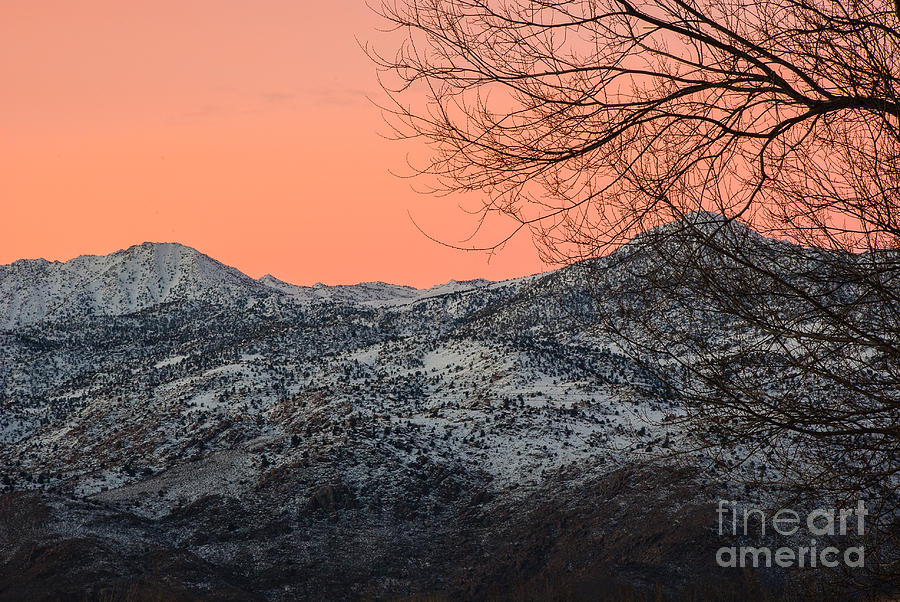 Winter Scenes Photograph - Morning Sky  1.7314 by Stephen Parker