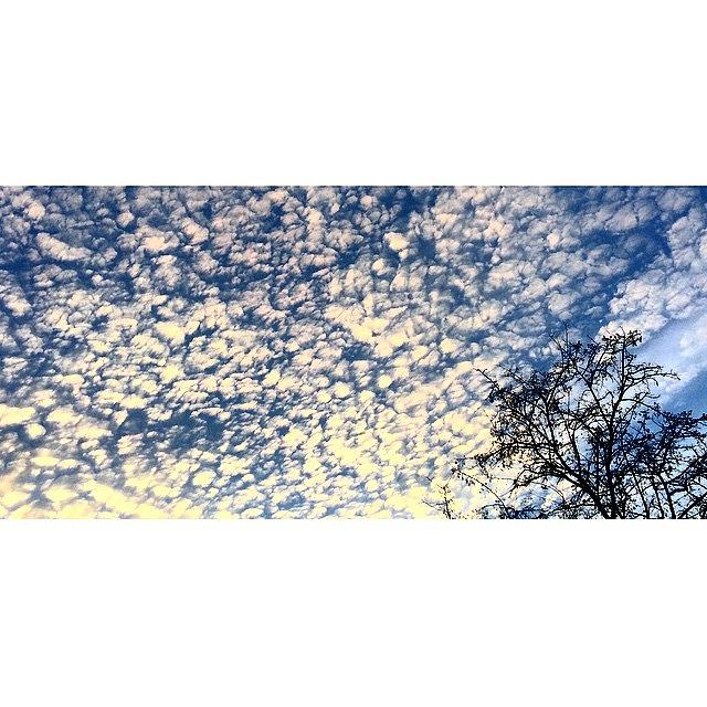 La Photograph - Morning Sky. #la by Samantha Ouellette