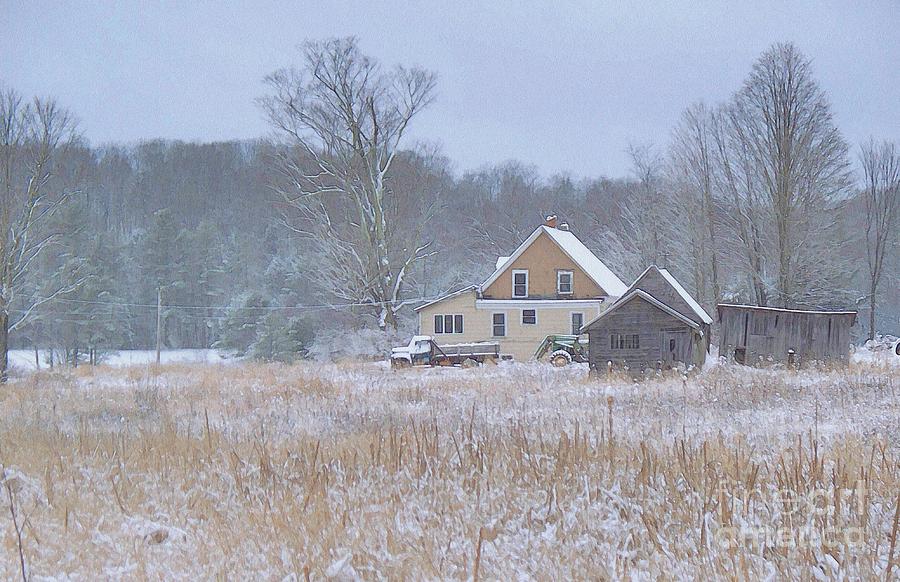 Morning Snow Photograph by Joy Nichols