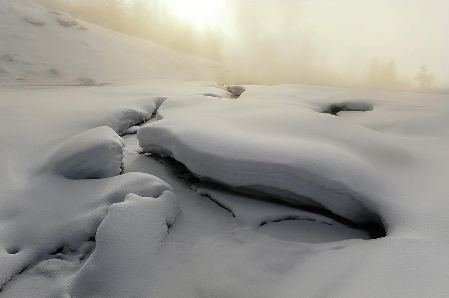 Morning Snow Photograph by Yu Liu Photography
