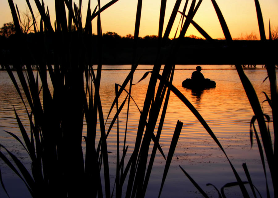 Nature Photograph - Morning Solitude - Fisherman - Walnut Creek Lake by Nikolyn McDonald