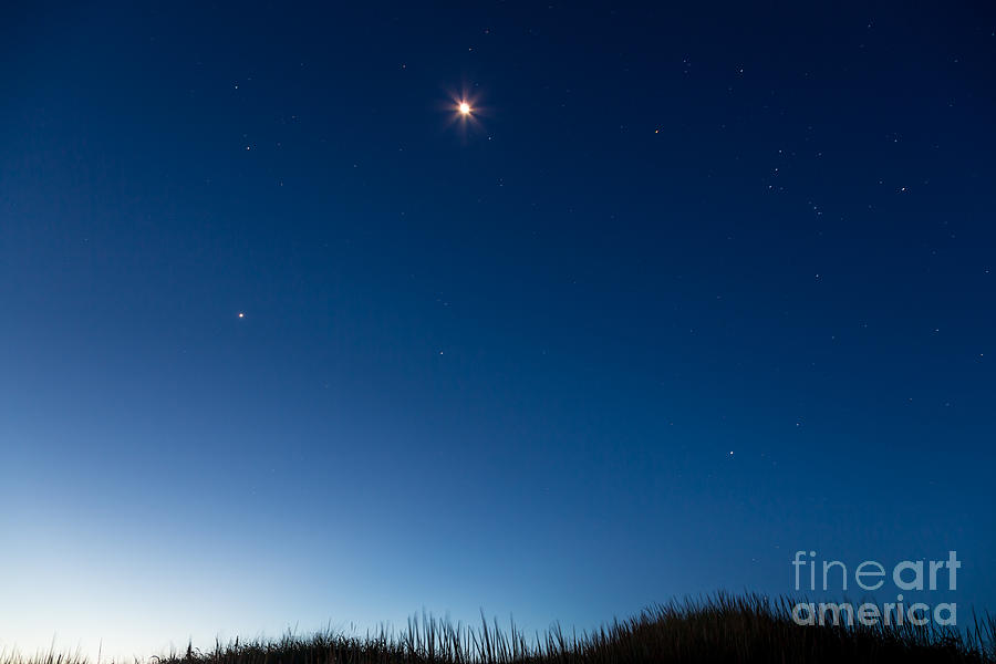 Morning Stars on Marthas Vineyard Photograph by Susan Cole Kelly