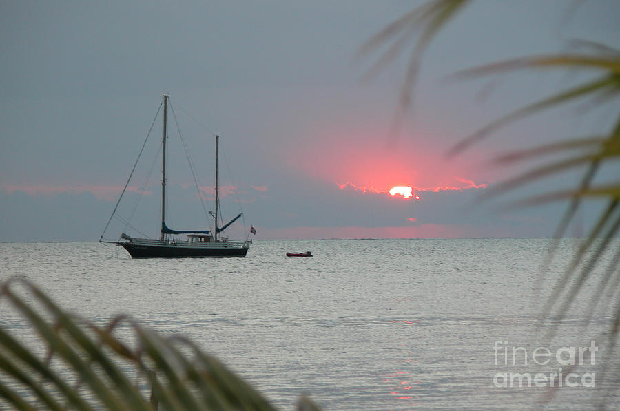 Sailboat Photograph - Morning Sun by Jim Goodman