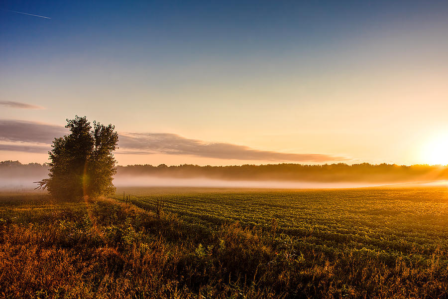 Morning Sun Over Farmland by David Wynia Morning Sun Over Farmland by David Wynia