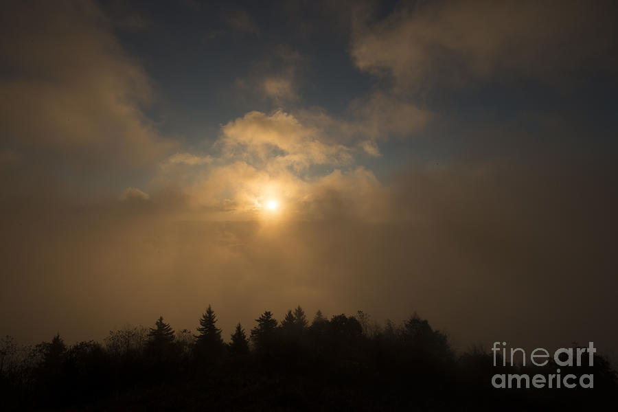 Morning Photograph - Morning sun sneaking through fog  on Bald Knob Mountain by Dan Friend
