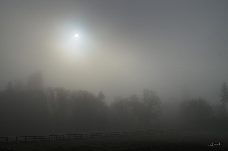 Morning Sun Through Fog Photograph by Mick Anderson