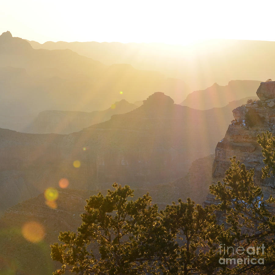 Morning Sunrays over Silhouetted Spires in Grand Canyon National Park Square Photograph by Shawn OBrien