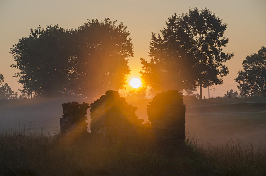 Morning Sunrise at Philadelphia Cricket Club Photograph by Bill Cannon