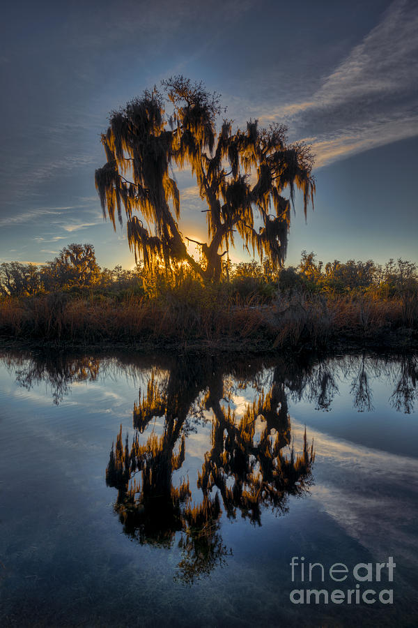 Morning sunrise in Florida country Photograph by Dan Friend