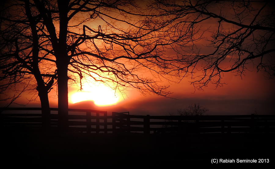 Morning Sunrise Photograph by Rabiah Seminole