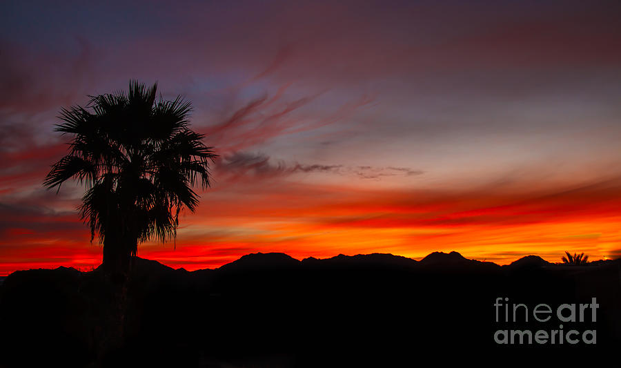 Mountain Photograph - Morning Sunrise by Robert Bales
