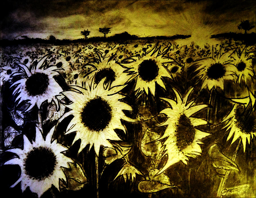 Morning Sunshine On A Field Of Sunflowers Drawing