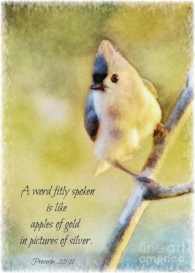 Morning Tufted Titmouse - Digital Paint II with Verse Photograph by Debbie Portwood