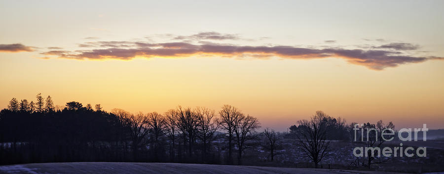 Morning View Photograph by Jan Killian