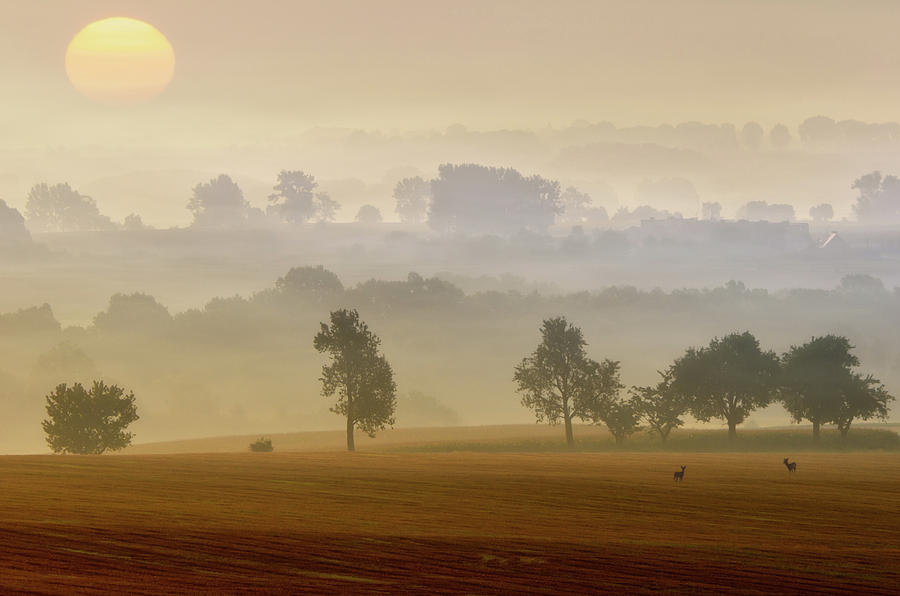 Morning View Photograph by Piotr Krol (bax)