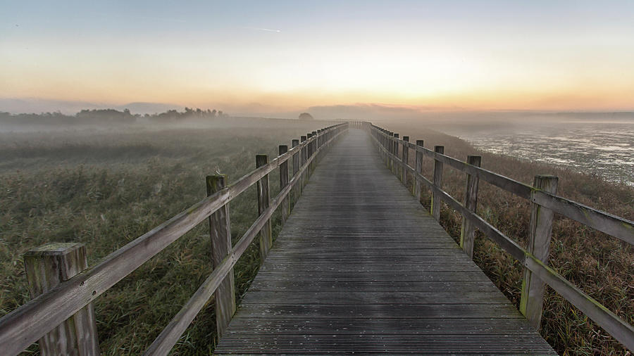 Bridge Photograph - Morning Walk. by Leif L??ndal