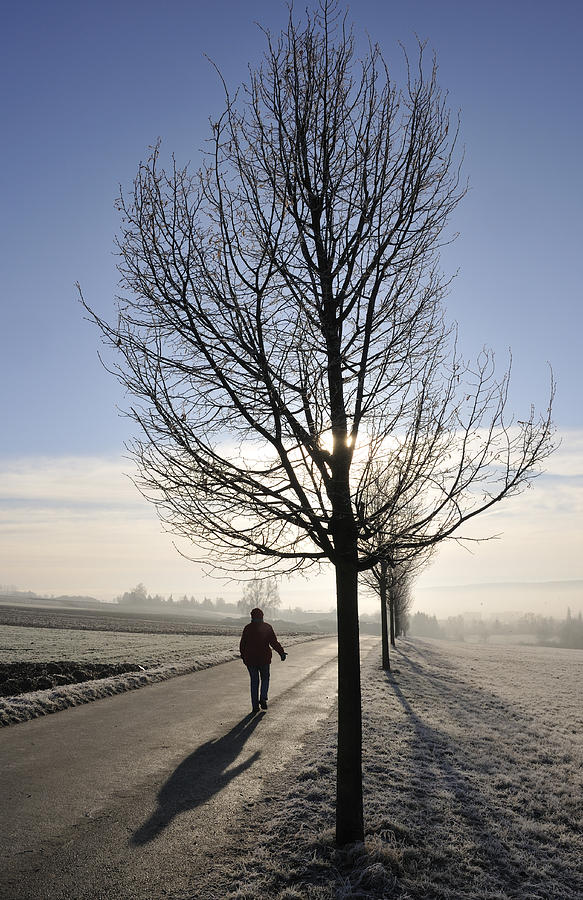Morning walk Photograph by Matthias Hauser