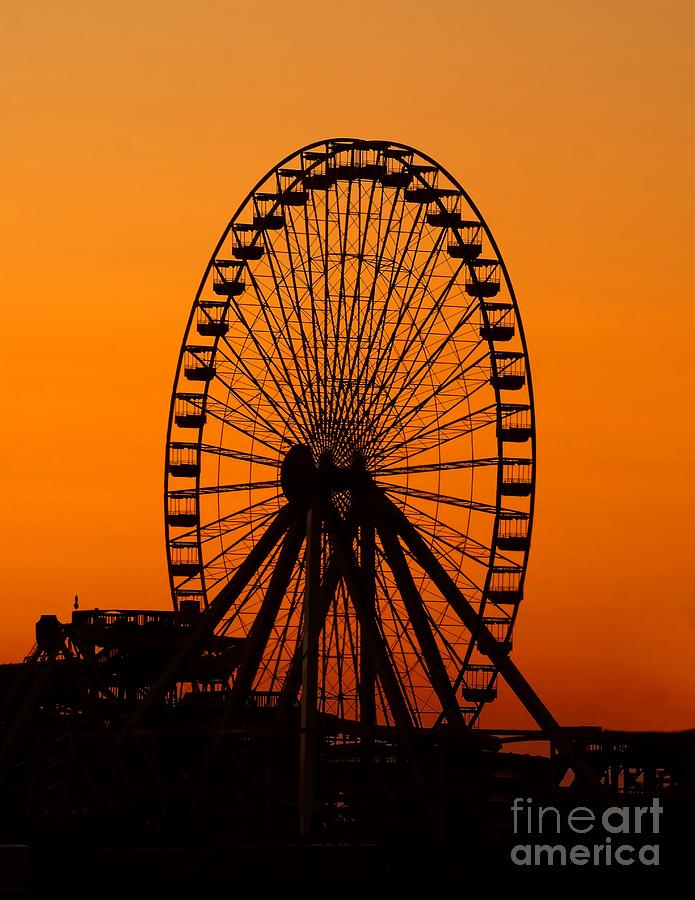 Morning Wheel Photograph by Nick Zelinsky Jr