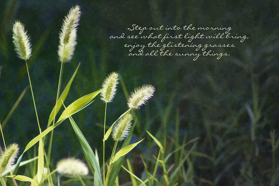 Mornings First Light Poem by Kathy Clark Photograph by Kathy Clark