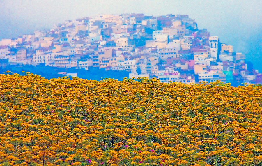 Moroccan flowering field Photograph by Dennis Cox