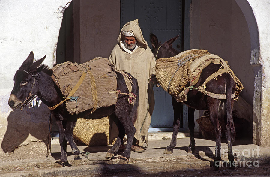 Moroccan Muleteer - Chechaouen Morocco Photograph by Craig Lovell